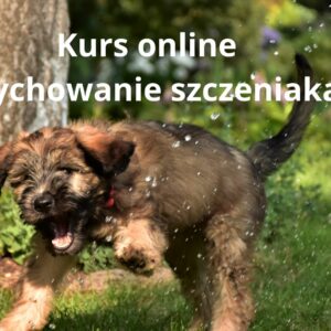 Kurs Online Wychowanie Szczeniaka.
