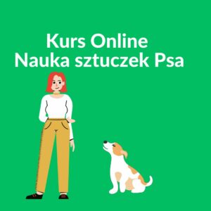 Kurs Online Nauka Sztuczek Psa.