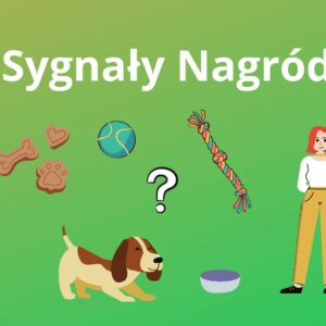 Kurs online sygnały nagród w treningu i na codzień.