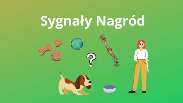 Kurs online sygnały nagród w treningu i na codzień.