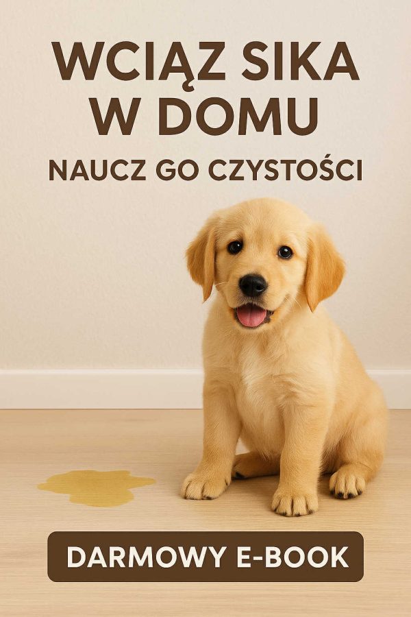 darmowy ebook nauka czystosci szczeniaka